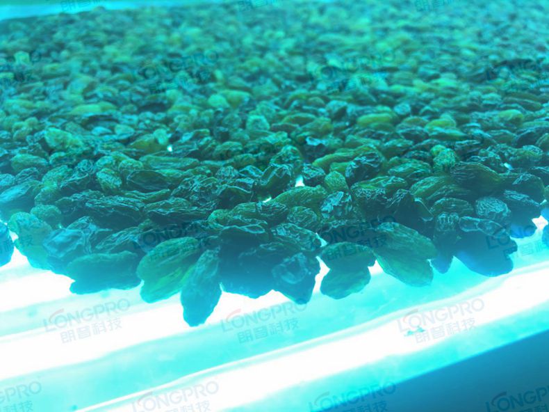 圖片1.jpg 圖片1.jpg